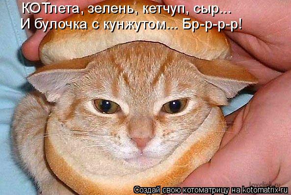 Котоматрица: КОТлета, зелень, кетчуп, сыр... И булочка с кунжутом... Бр-р-р-р!