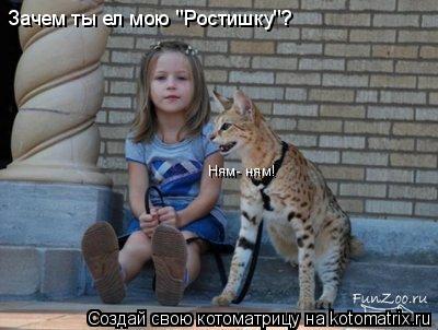 Котоматрица: Зачем ты ел мою 'Ростишку'? Ням- ням!