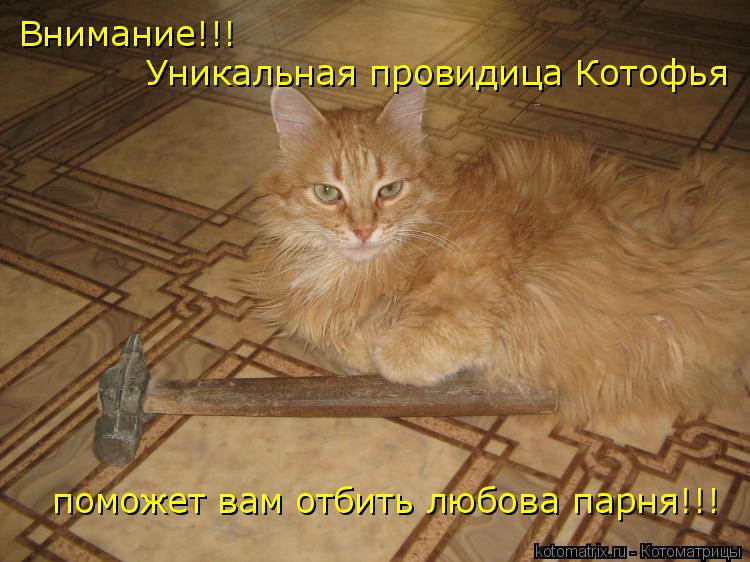 Котоматрица: Внимание!!! Уникальная провидица Котофья поможет вам отбить любова парня!!!