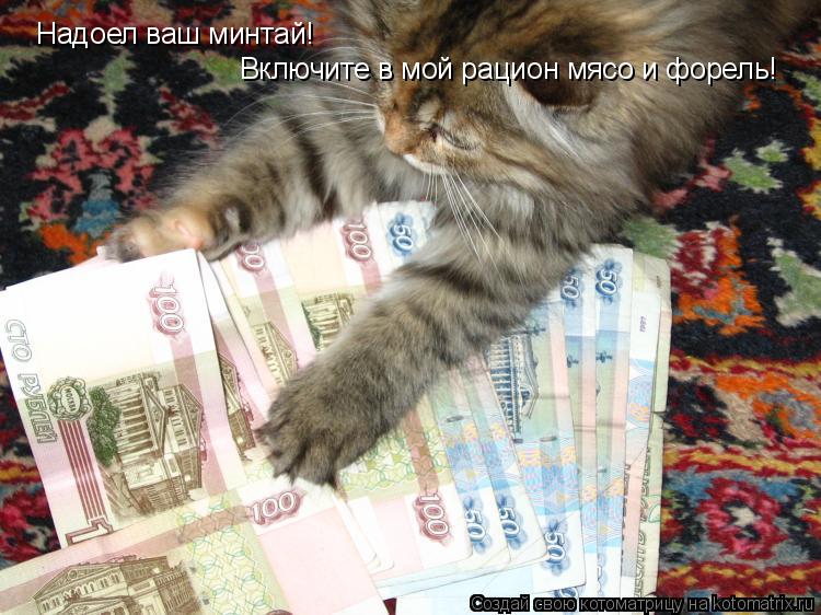 Котоматрица: Надоел ваш минтай!  Включите в мой рацион мясо и форель!