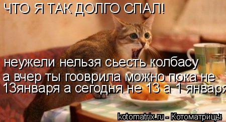 Котоматрица: ЧТО Я ТАК ДОЛГО СПАЛ! неужели нельзя сьесть колбасу неужели нельзя сьесть колбасу а вчер ты гооврила можно пока не  13января а сегодня не 13 а 1