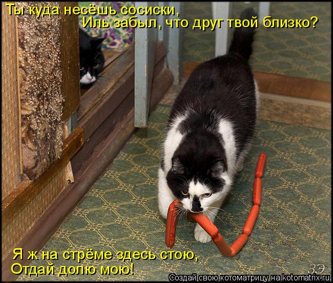 Котоматрица: Ты куда несёшь сосиски, Иль забыл, что друг твой близко? Я ж на стрёме здесь стою, Отдай долю мою!