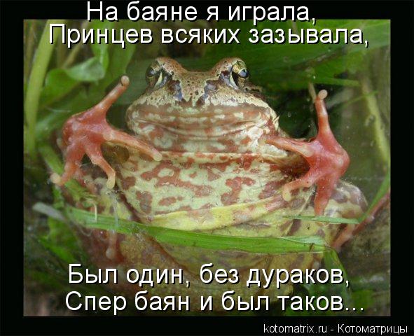 Котоматрица: На баяне я играла, Принцев всяких зазывала, Был один, без дураков, Спер баян и был таков...