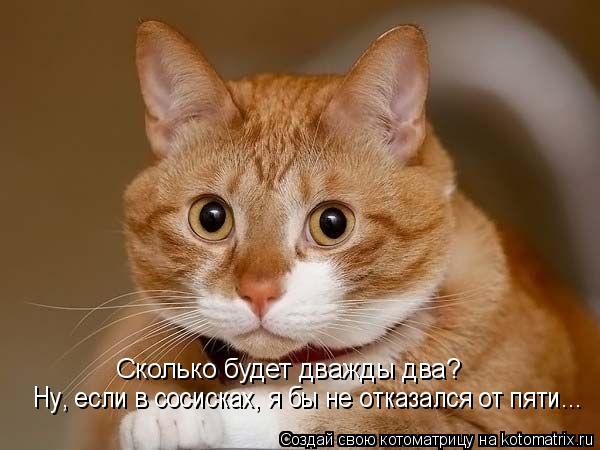 Сколько будет дважды два? Ну, если в сосисках, я бы не отказался от пяти...... Котоматрица: Сколько будет дважды два? Ну, если в сосисках, я бы не отказался от пяти...