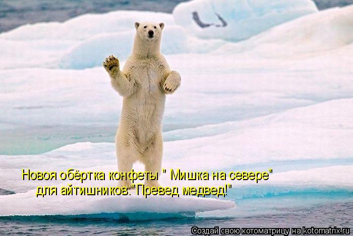 Новоя обёртка конфеты " Мишка на севере" для айтишников:"Превед медвед!"... Котоматрица: Новоя обёртка конфеты " Мишка на севере" для айтишников:"Превед медвед!"
