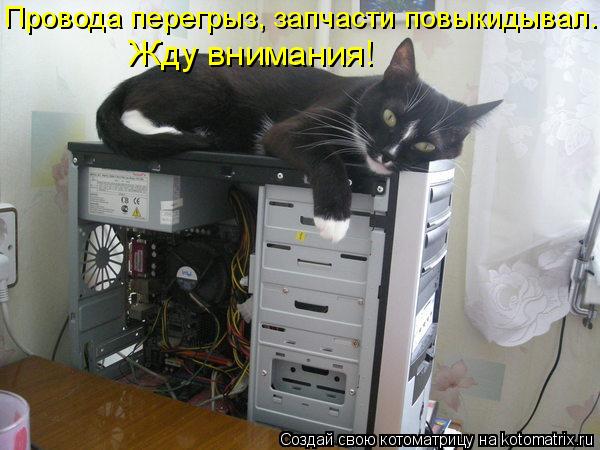 Провода перегрыз, запчасти повыкидывал.... Жду внимания!... Котоматрица: Провода перегрыз, запчасти повыкидывал.... Жду внимания!