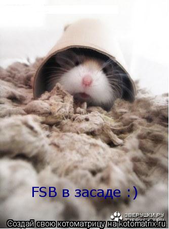 FSB в засаде :)... Котоматрица: FSB в засаде :)