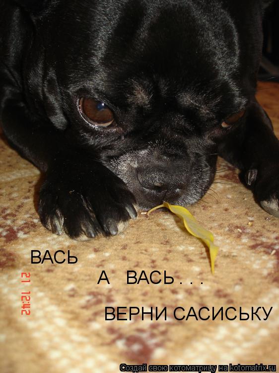 ВАСЬ А ВАСЬ . . . ВЕРНИ САСИСЬКУ... Котоматрица: ВАСЬ А ВАСЬ . . . ВЕРНИ САСИСЬКУ