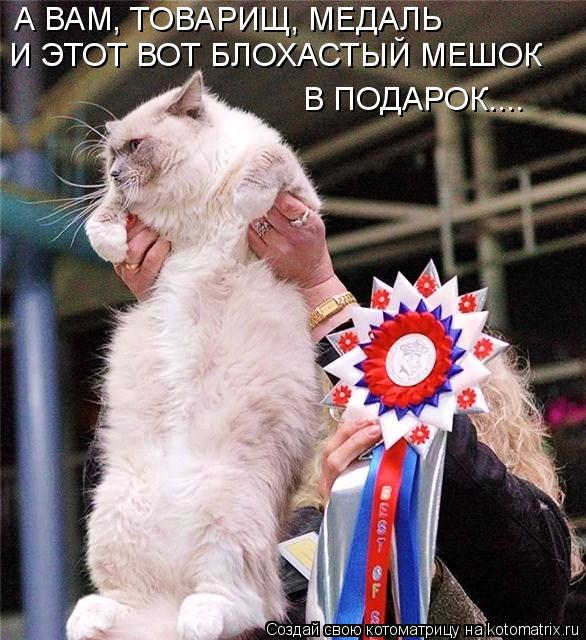 А ВАМ, ТОВАРИЩ, МЕДАЛЬ И ЭТОТ ВОТ БЛОХАСТЫЙ МЕШОК В ПОДАРОК....... Котоматрица: А ВАМ, ТОВАРИЩ, МЕДАЛЬ И ЭТОТ ВОТ БЛОХАСТЫЙ МЕШОК В ПОДАРОК....