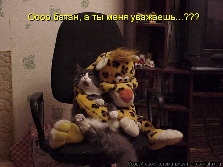 Котоматрица: Оооо батан, а ты меня уважаешь...???