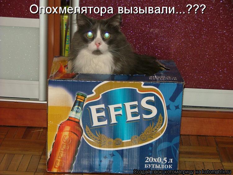 Котоматрица: Опохмелятора вызывали...???