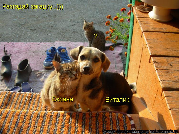 Виталик Оксана ? Разгадай загадку...)))... Котоматрица: Виталик Оксана ? Разгадай загадку...)))