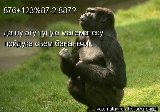 Котоматрица: 876+123%87-2:887? да ну эту тупую математеку пойдука сьем бананьчик