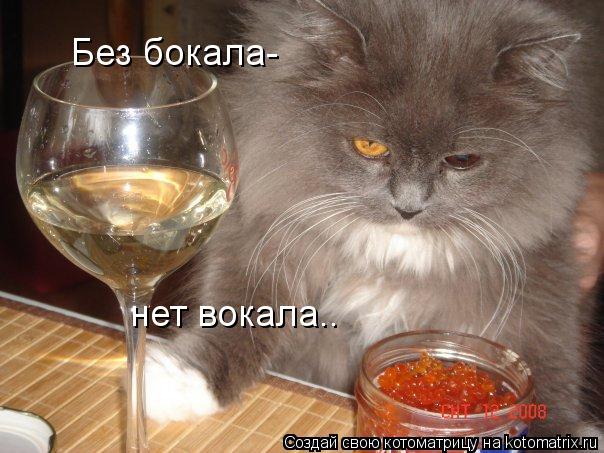 Без бокала- нет вокала..... Котоматрица: Без бокала- нет вокала..