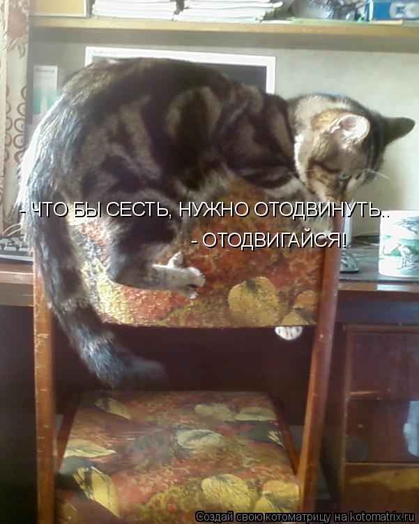 - ЧТО БЫ СЕСТЬ, НУЖНО ОТОДВИНУТЬ.. - ОТОДВИГАЙСЯ!... Котоматрица: - ЧТО БЫ СЕСТЬ, НУЖНО ОТОДВИНУТЬ.. - ОТОДВИГАЙСЯ!