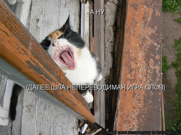 - А НУ... (ДАЛЕЕ ШЛА НЕПЕРЕВОДИМАЯ ИГРА СЛОВ)... Котоматрица: - А НУ... (ДАЛЕЕ ШЛА НЕПЕРЕВОДИМАЯ ИГРА СЛОВ)