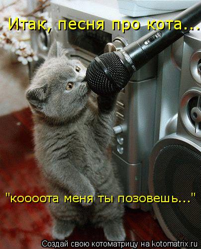 Котоматрица: Итак, песня про кота... "коооота меня ты позовешь..."