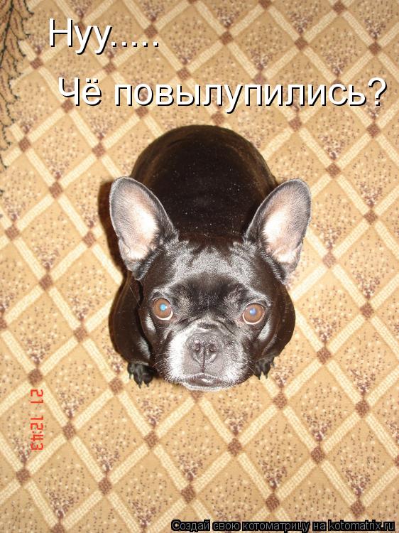 Котоматрица: Нуу..... Чё повылупились?