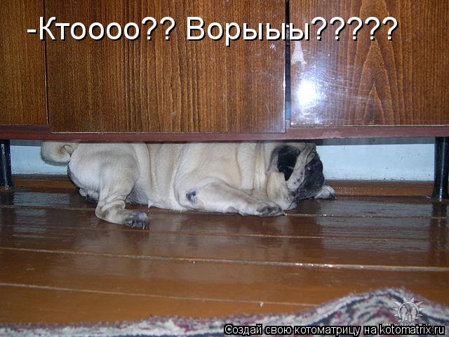 Котоматрица: -Ктоооо?? Ворыыы?????