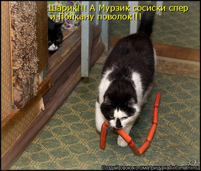 Котоматрица: Шарик!!! А Мурзик сосиски спер и Полкану поволок!!!