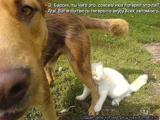 - Э, Барсик, ты чего это, совсем нюх потерял что-ли? - Ага! Вот и пытаюсь теперь по вкусу всех запомн... Котоматрица: - Э, Барсик, ты чего это, совсем нюх потерял что-ли? - Ага! Вот и пытаюсь теперь по вкусу всех запомнить.