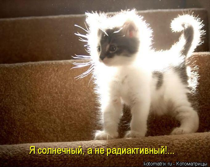 Я солнечный, а не радиактивный!...... Котоматрица: Я солнечный, а не радиактивный!...