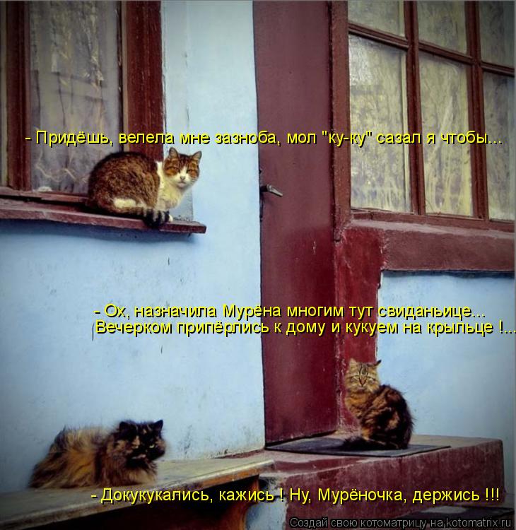Котоматрица: Вечерком припёрлись к дому и кукуем на крыльце !... - Докукукались, кажись ! Ну, Мурёночка, держись !!! - Ох, назначила Мурёна многим тут свиданьи