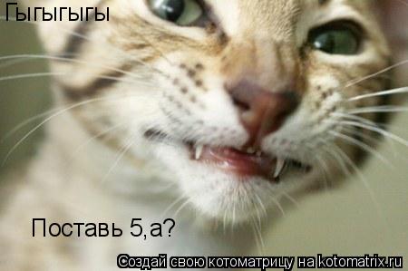 Котоматрица: Гыгыгыгы Поставь 5,а?
