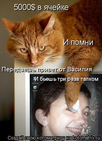 Котоматрица: 5000$ в ячейке И помни Передаешь привет от Василия И бьешь три раза тапком