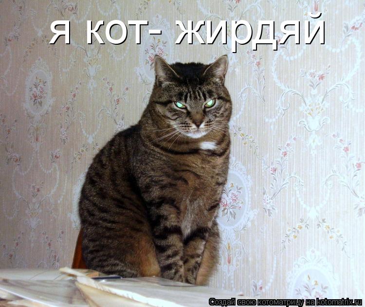 Котоматрица: я кот- жирдяй