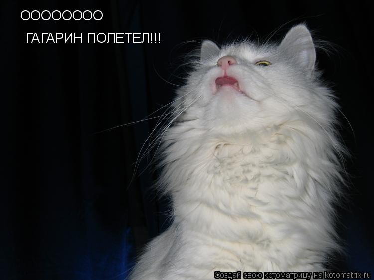Котоматрица: ОООООООО ГАГАРИН ПОЛЕТЕЛ!!!