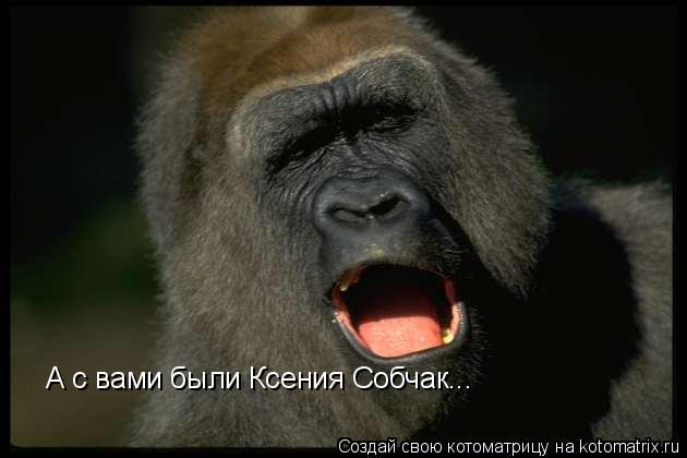 Котоматрица: А с вами были Ксения Собчак...