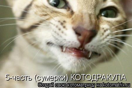 Котоматрица: 5-часть (сумерки) КОТОДРАКУЛА