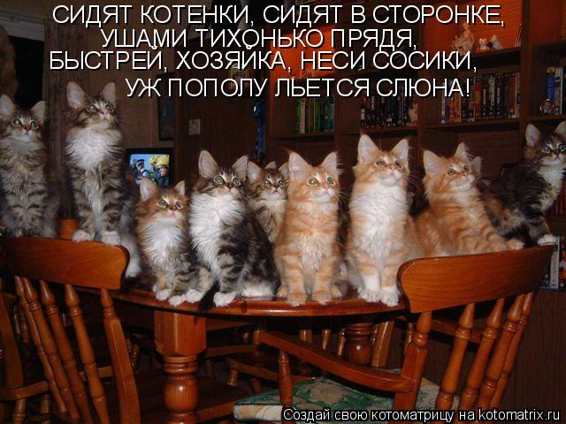 Котоматрица: СИДЯТ КОТЕНКИ, СИДЯТ В СТОРОНКЕ, УШАМИ ТИХОНЬКО ПРЯДЯ, БЫСТРЕЙ, ХОЗЯЙКА, НЕСИ СОСИКИ, УЖ ПОПОЛУ ЛЬЕТСЯ СЛЮНА!
