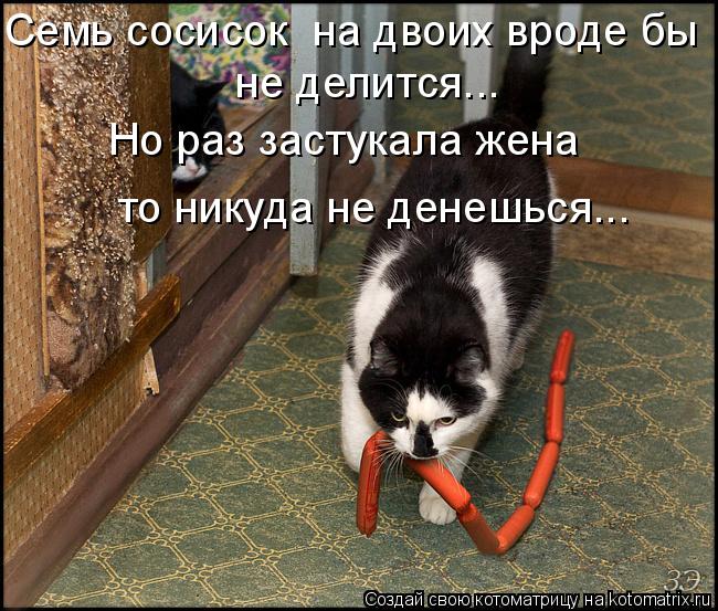 Семь сосисок на двоих вроде бы не делится... Но раз застукала жена то никуда не денешься...... Котоматрица: Семь сосисок на двоих вроде бы не делится... Но раз застукала жена то никуда не денешься...
