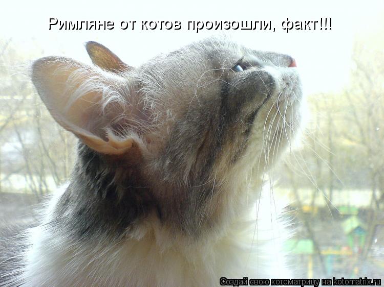 Котоматрица: Римляне от котов произошли, факт!!!
