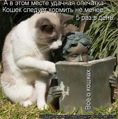 Котоматрица: А в этом месте удачная опечатка- Кошек следует кормить не менее         5 раз в день. Всё о кошках.