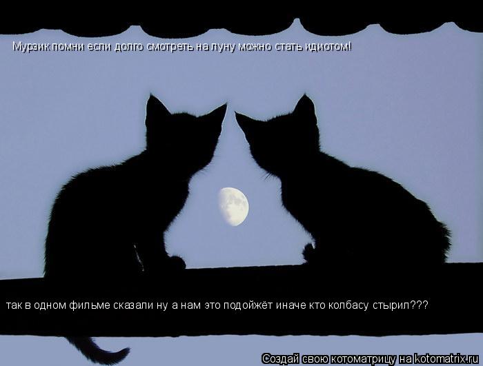 http://kotomatrix.ru/images/lolz/2010/01/23/466566.jpg