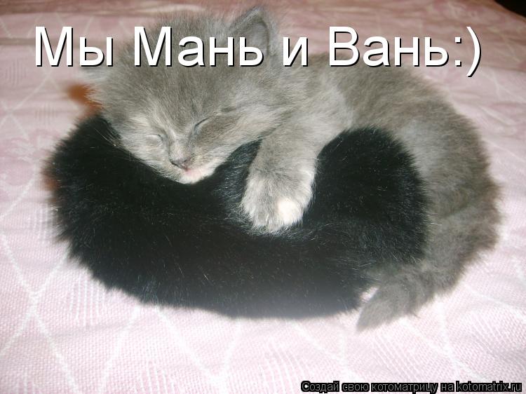 Мы Мань и Вань:)... Котоматрица: Мы Мань и Вань:)