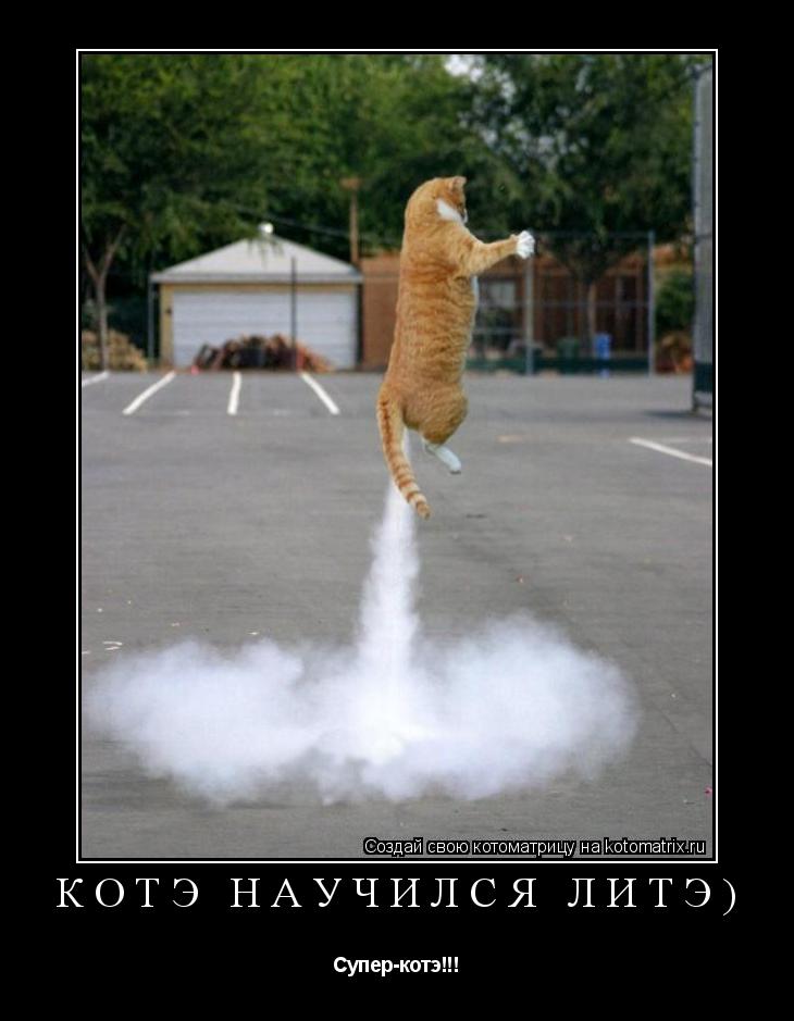 Котоматрица: котэ научился литэ) Супер-котэ!!!