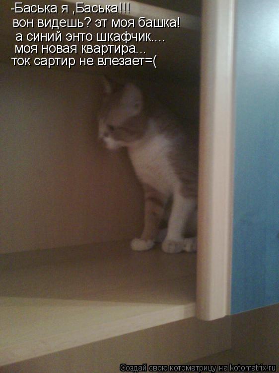 Котоматрица: -Баська я ,Баська!!! вон видешь? эт моя башка! а синий энто шкафчик....  моя новая квартира...  ток сартир не влезает=(