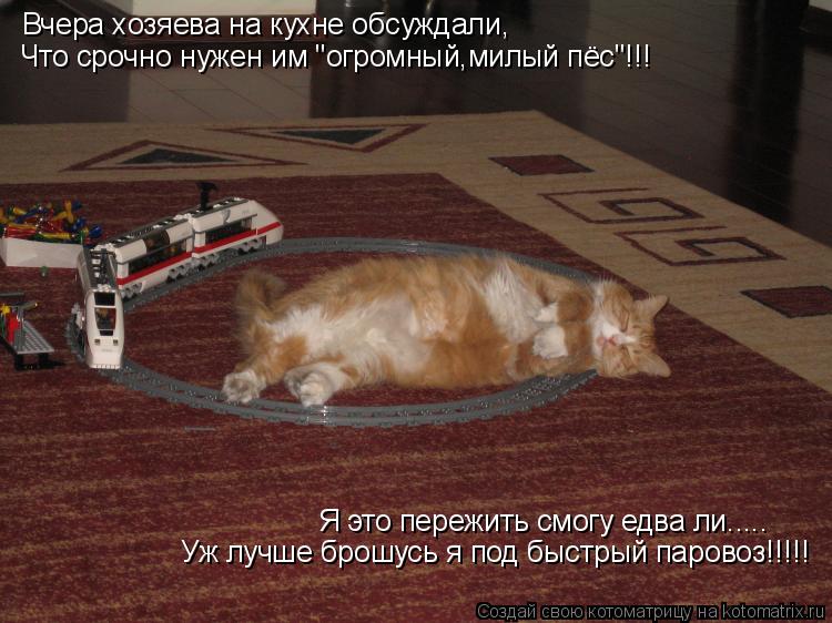 Вчера хозяева на кухне обсуждали, Что срочно нужен им "огромный,милый пёс"!!! Я это пережить смогу ед... Котоматрица: Вчера хозяева на кухне обсуждали, Что срочно нужен им "огромный,милый пёс"!!! Я это пережить смогу едва ли..... Уж лучше брошусь я под быстрый па