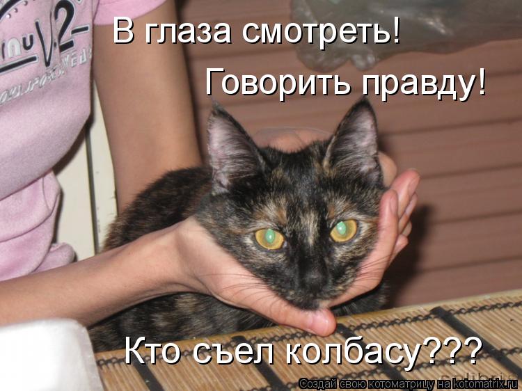 Котоматрица: В глаза смотреть! Говорить правду! Кто съел колбасу???