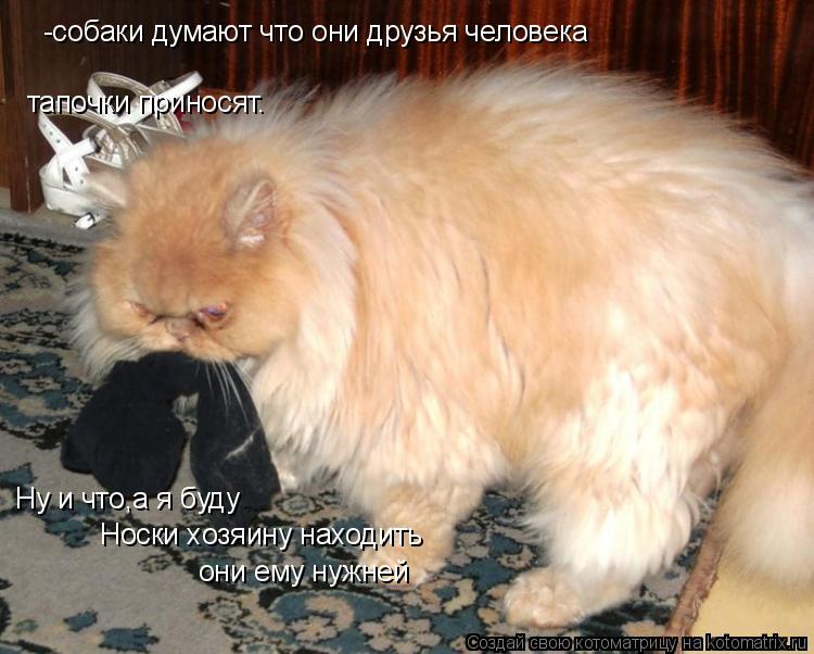 Котоматрица: тапочки приносят. Ну и что,а я буду Носки хозяину находить они ему нужней -собаки думают что они друзья человека