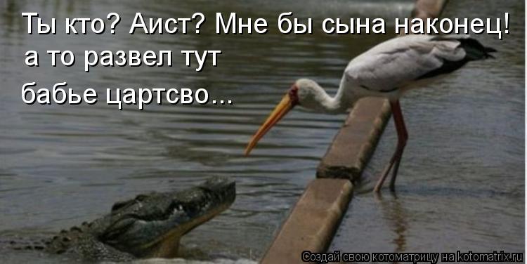Котоматрица: Ты кто? Аист? Мне бы сына наконец! а то развел тут  бабье цартсво...