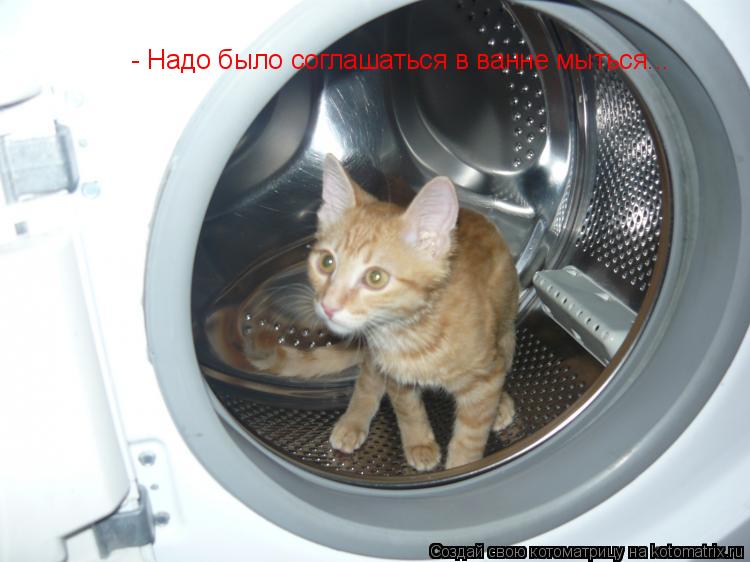 Котоматрица: - Надо было соглашаться в ванне мыться...
