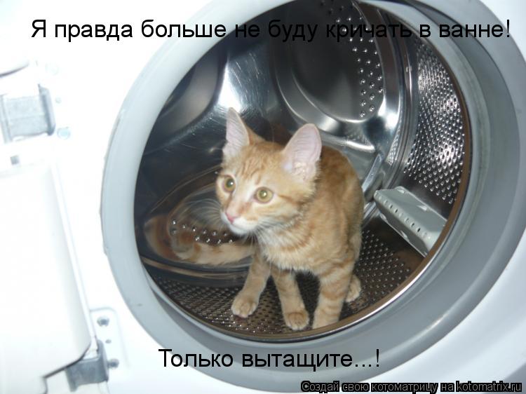 Котоматрица: Я правда больше не буду кричать в ванне! Только вытащите...!