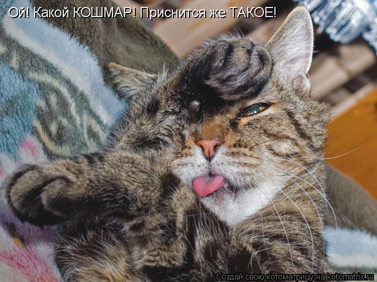 Ой! Какой КОШМАР! Приснится же ТАКОЕ!... Котоматрица: Ой! Какой КОШМАР! Приснится же ТАКОЕ!