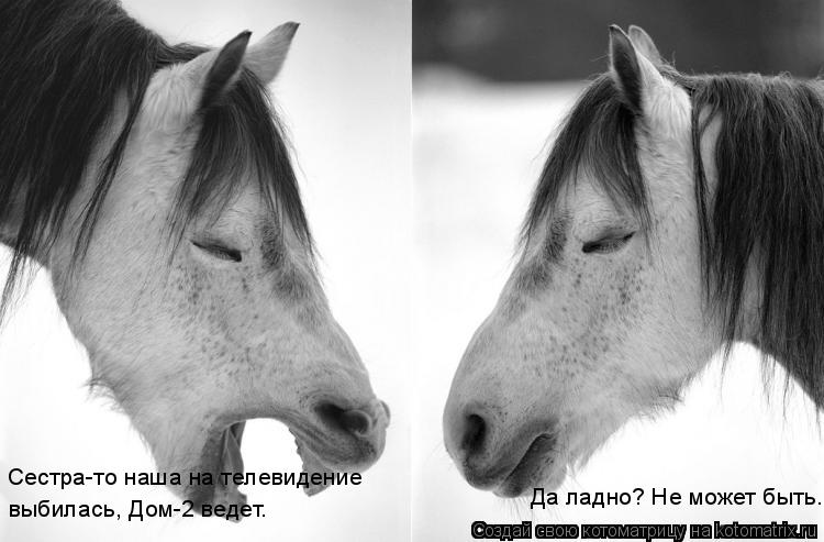 Сестра-то наша на телевидение выбилась, Дом-2 ведет. Да ладно? Не может быть.... Котоматрица: Сестра-то наша на телевидение выбилась, Дом-2 ведет. Да ладно? Не может быть.