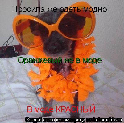 Просила же одеть модно! Оранжевый не в моде В моде КРАСНЫЙ... Котоматрица: Просила же одеть модно! Оранжевый не в моде В моде КРАСНЫЙ